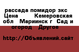 рассада помидор зкс › Цена ­ 20 - Кемеровская обл., Мариинск г. Сад и огород » Другое   